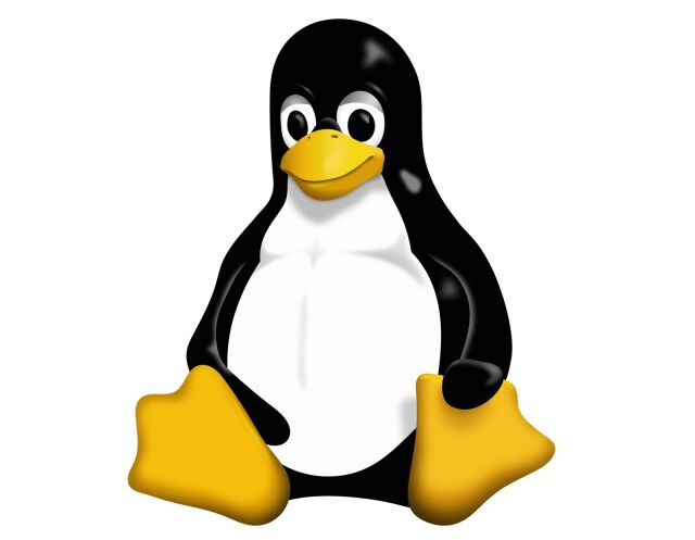 День рождения операционной системы Linux День рождения операционной системы Linux