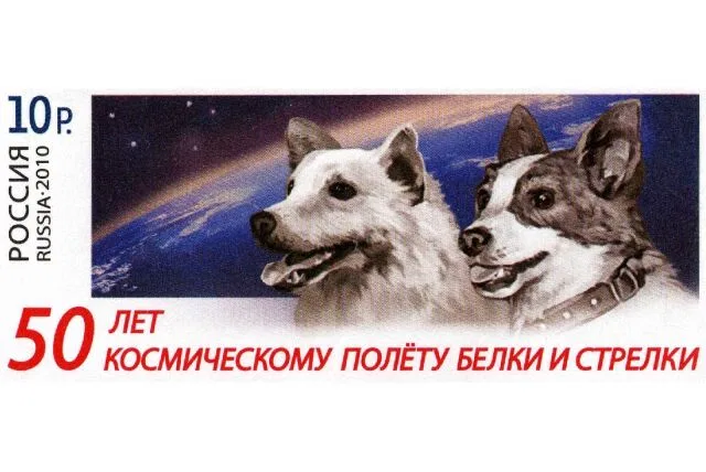 Советский космический корабль с собаками Белкой и Стрелкой на борту совершил суточный полет с возвращением на Землю Советский космический корабль с собаками Белкой и Стрелкой на борту совершил суточный полет с возвращением на Землю