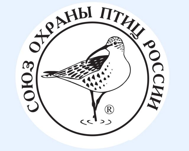 Создан Союз охраны птиц России Создан Союз охраны птиц России