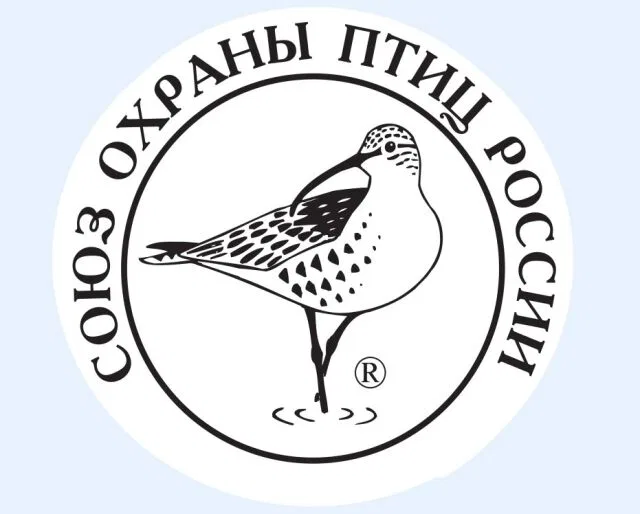 Создан Союз охраны птиц России