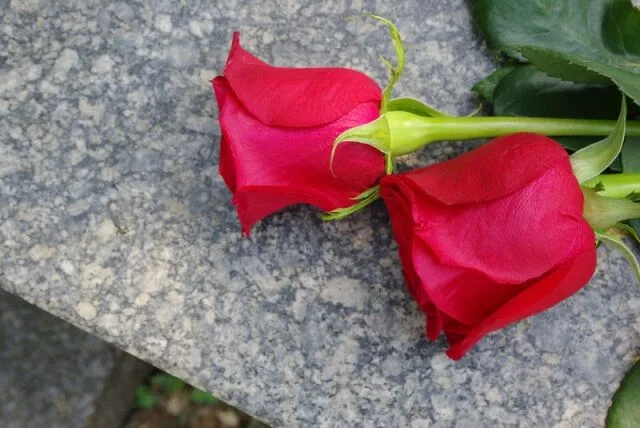 В Москве совершен террористический акт в подземном переходе под Пушкинской площадью В Москве совершен террористический акт в подземном переходе под Пушкинской площадью