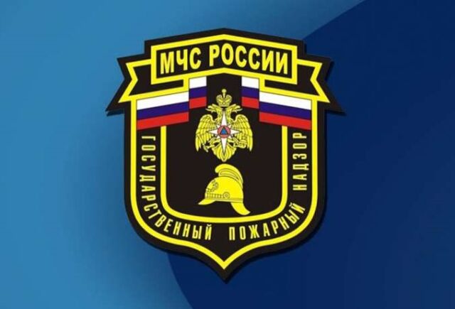 День сотрудников органов дознания МЧС России День сотрудников органов дознания МЧС России