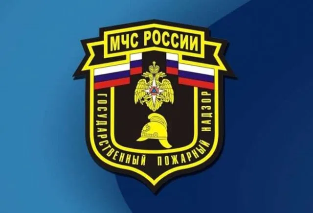 День сотрудников органов дознания МЧС России