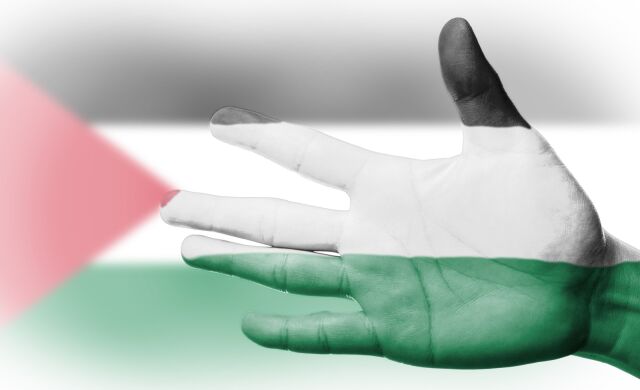 Международный день солидарности с палестинским народом Международный день солидарности с палестинским народом