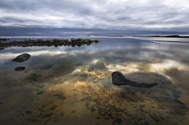 Всемирный день водно-болотных угодий Всемирный день водно-болотных угодий