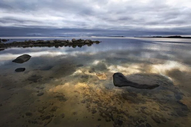 Всемирный день водно-болотных угодий