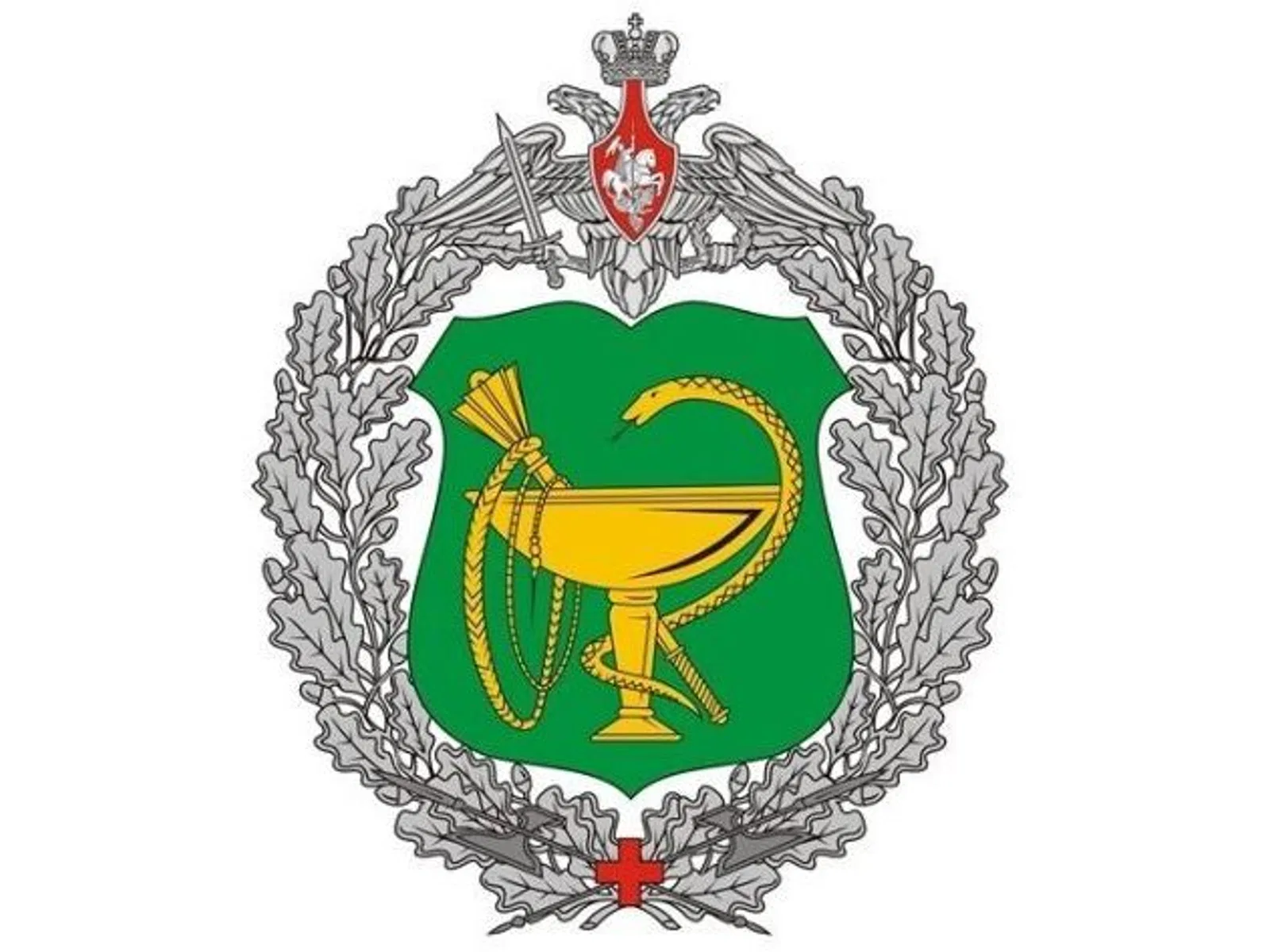 День военного медика в России День военного медика в России