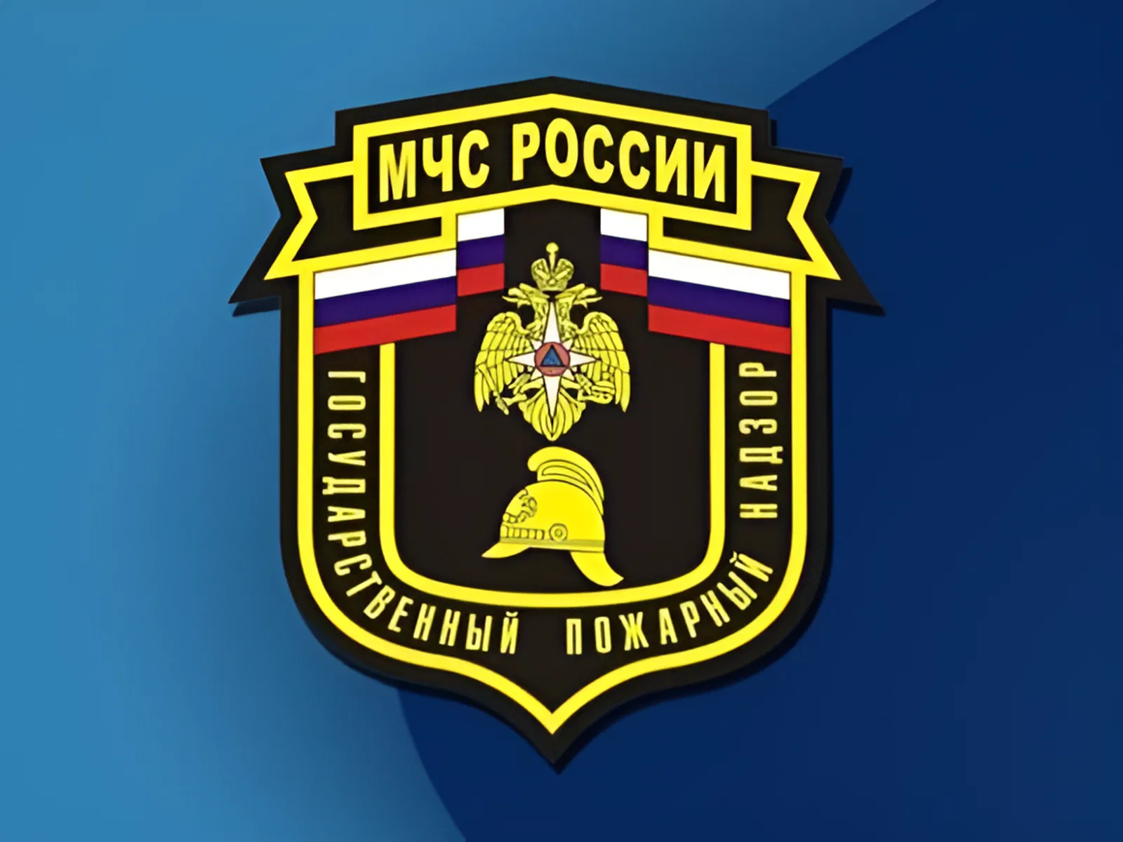 День сотрудников органов дознания МЧС России День сотрудников органов дознания МЧС России