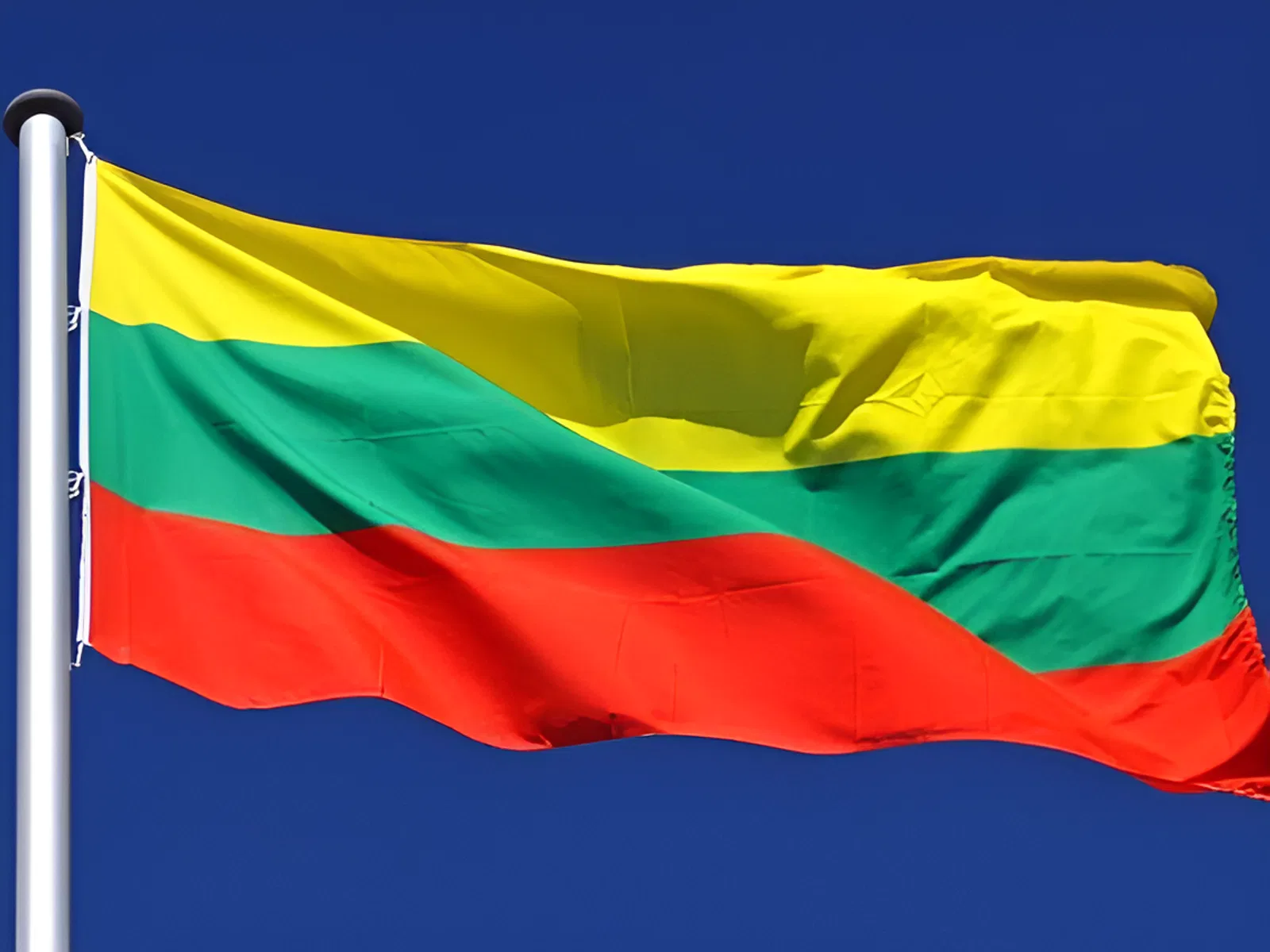 День флага Литвы День флага Литвы