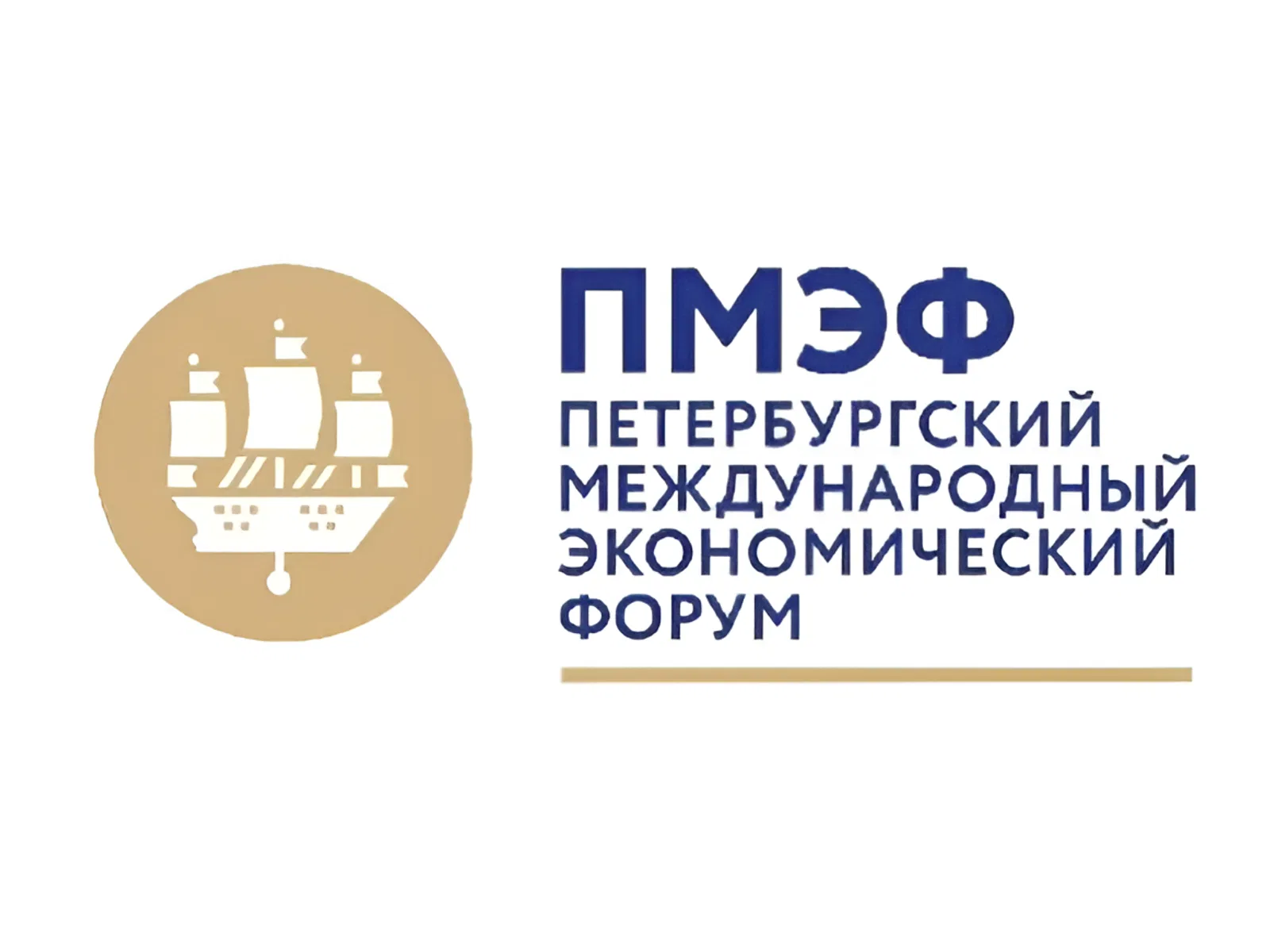 Петербургский международный экономический форум Петербургский международный экономический форум