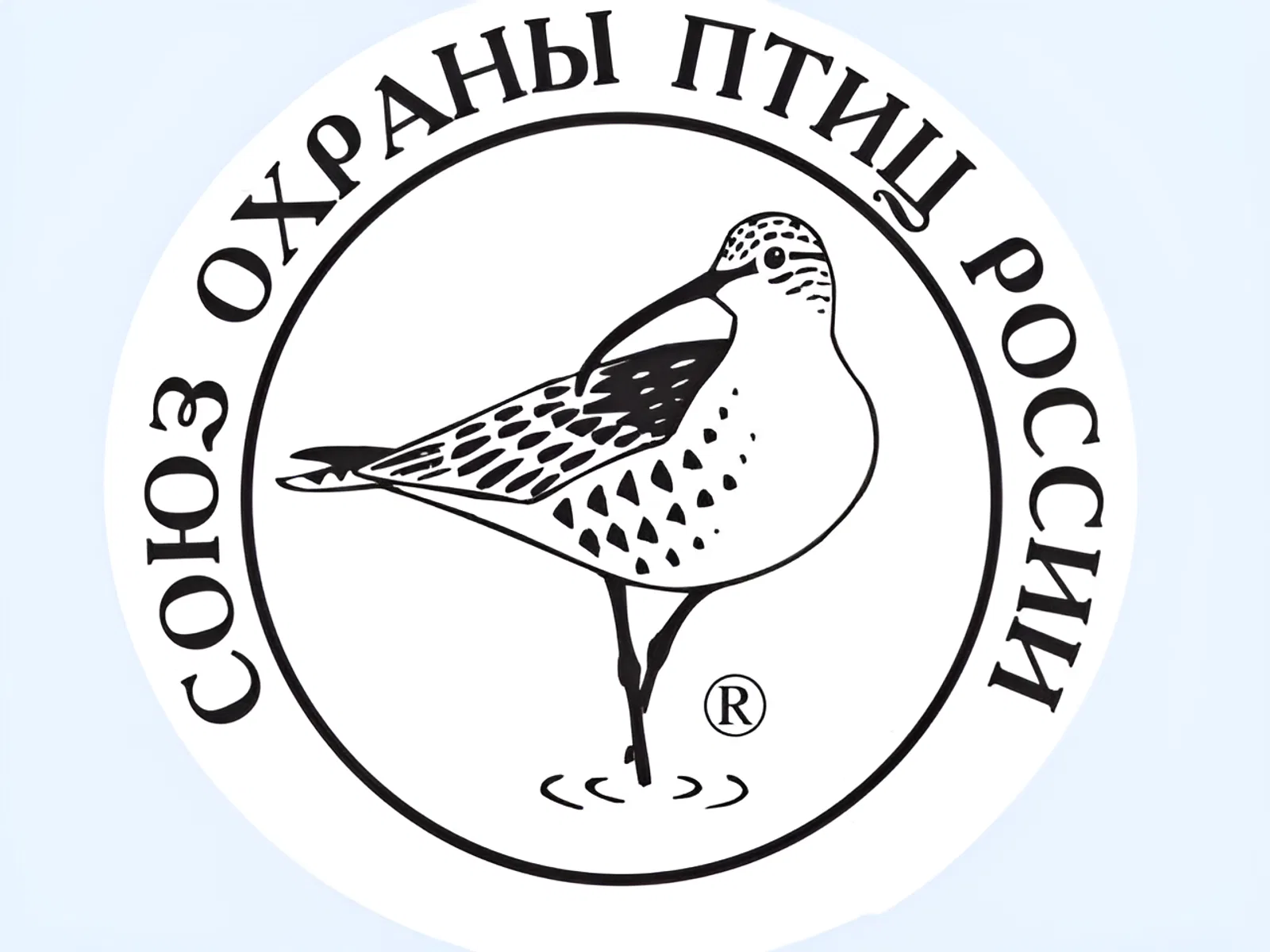Создан Союз охраны птиц России Создан Союз охраны птиц России