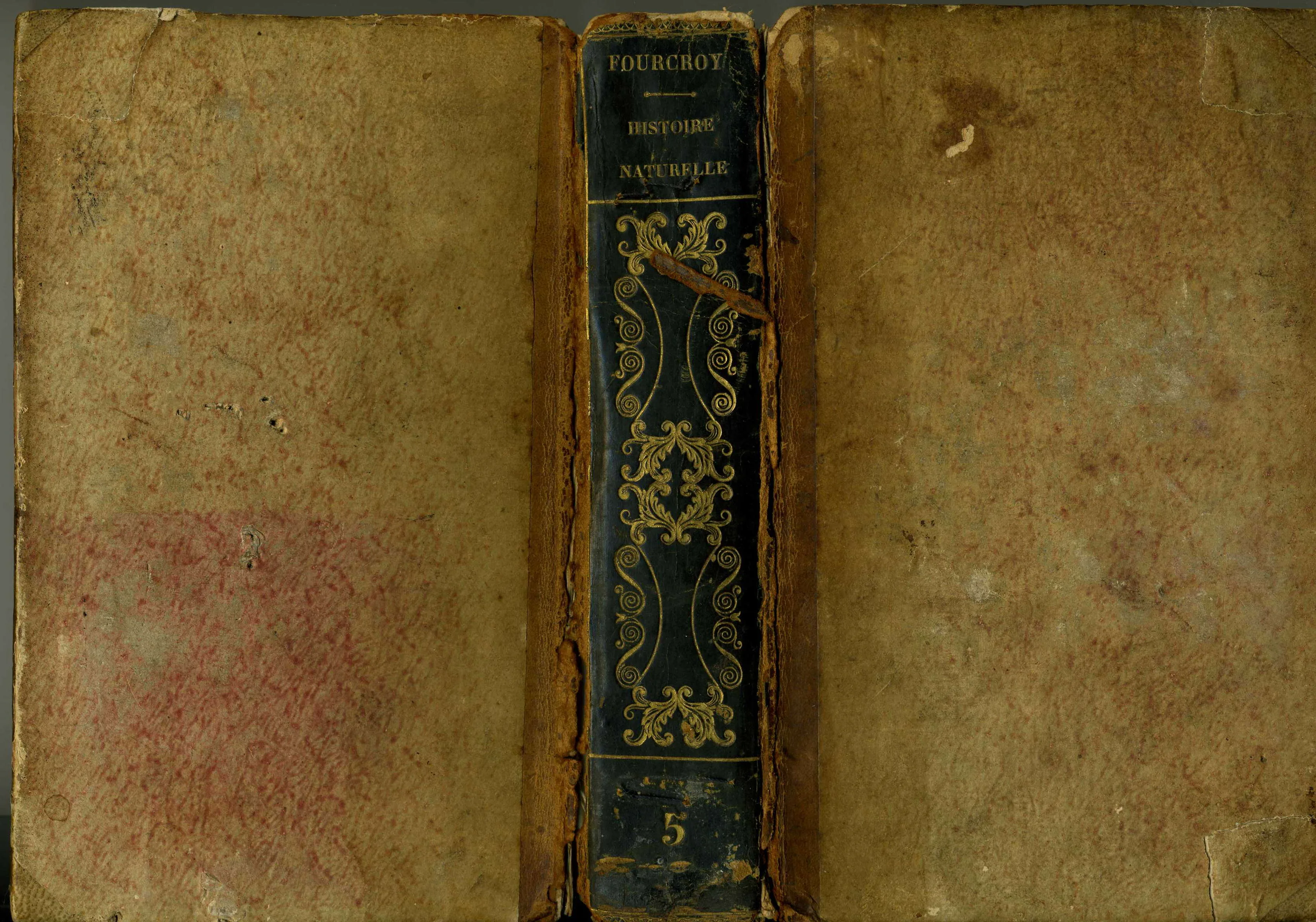 Обложка «Elemens D’histoire naturelle et de chimie» Фуркруа (т. 5) II года Республики (1793–1794) 1793. Автор неизвестен