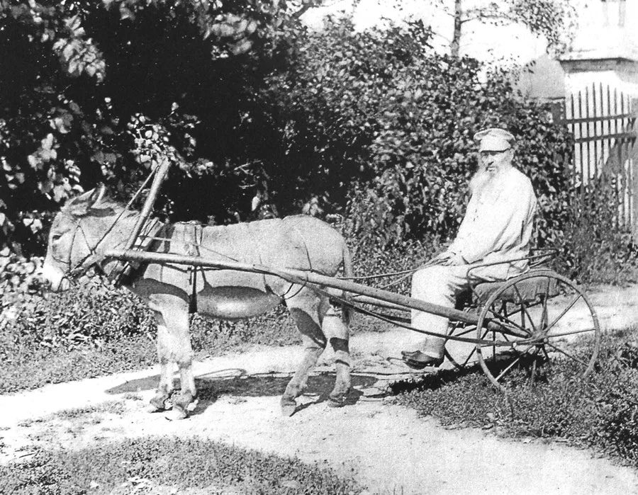 1890. Автор неизвестен