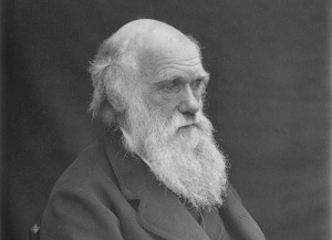 Чарльз Дарвин (12 февраля 1809 - 19 апреля 1882) , английский натуралист, автор современной теории эволюции Чарльз Дарвин (12 февраля 1809 - 19 апреля 1882) , английский натуралист, автор современной теории эволюции